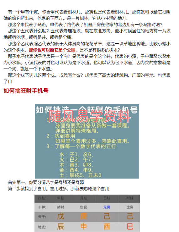 九龙道长   八字笔记196页