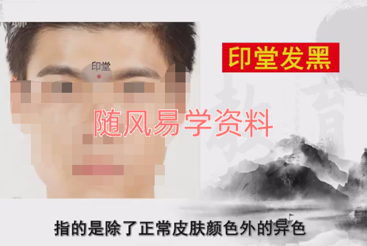 王金木  面相识人术13集视频  去水印版