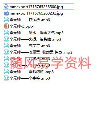 白云   五雷判官辛元帅秘法录音+文档