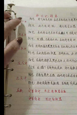 小凤仙  一掌经视频30集+笔记