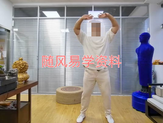 霍飞龙   升阳天罡功25集视频