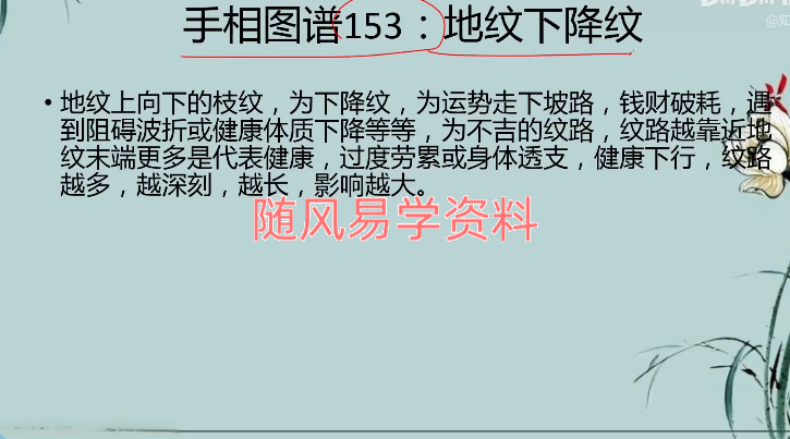 知相知命   手相图谱视频104集+面相图谱视频156集