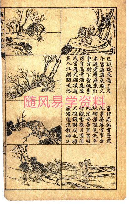 王咸炽-《演禽三世相法》220页