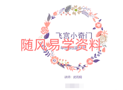 武雨桐  飞宫小奇门视频15集