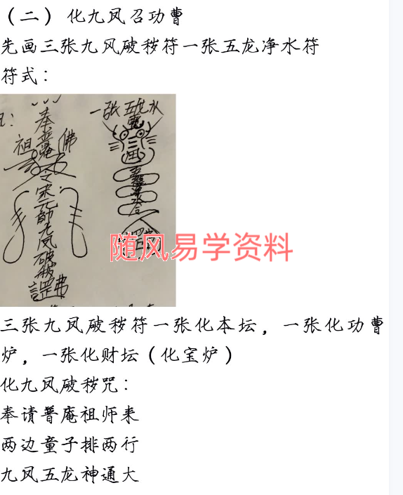 林氏普庵法37页