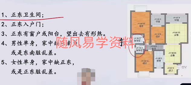 石园园  易学识人课42集视频