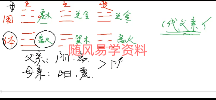 信老师《梅花易数》中高级实战课24集视频