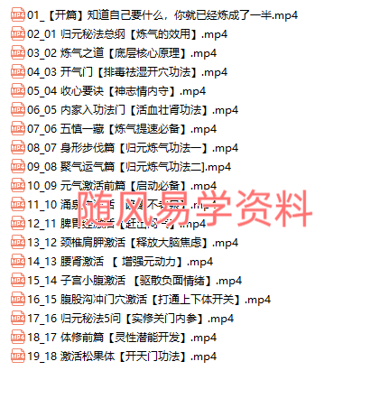 归元秘法炼气视频19集