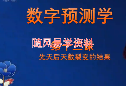 明禅   数字命理视频13集