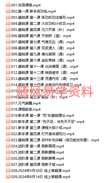 颜法坤【太乙真气秘法】29集视频