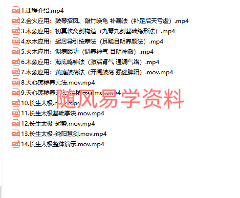 徐法升   小壶天内景四象筑基 视频14集