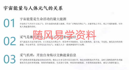 姜秀丽  道家内功秘法——灵子术,让元气布满全身视频8集