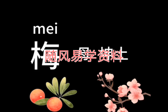 承钰   读象姓名学 30集视频