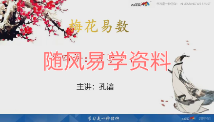 孔谙   梅花易数视频5集