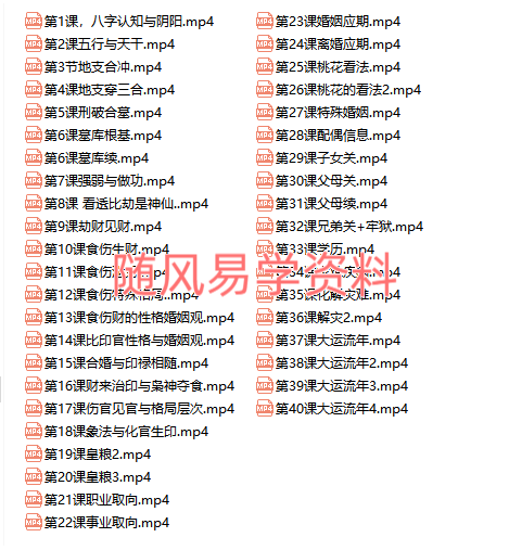 玄源  盲派八字秘传62集视频