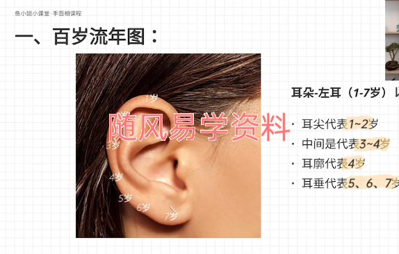 鱼小姐    从零开始学面相视频11集